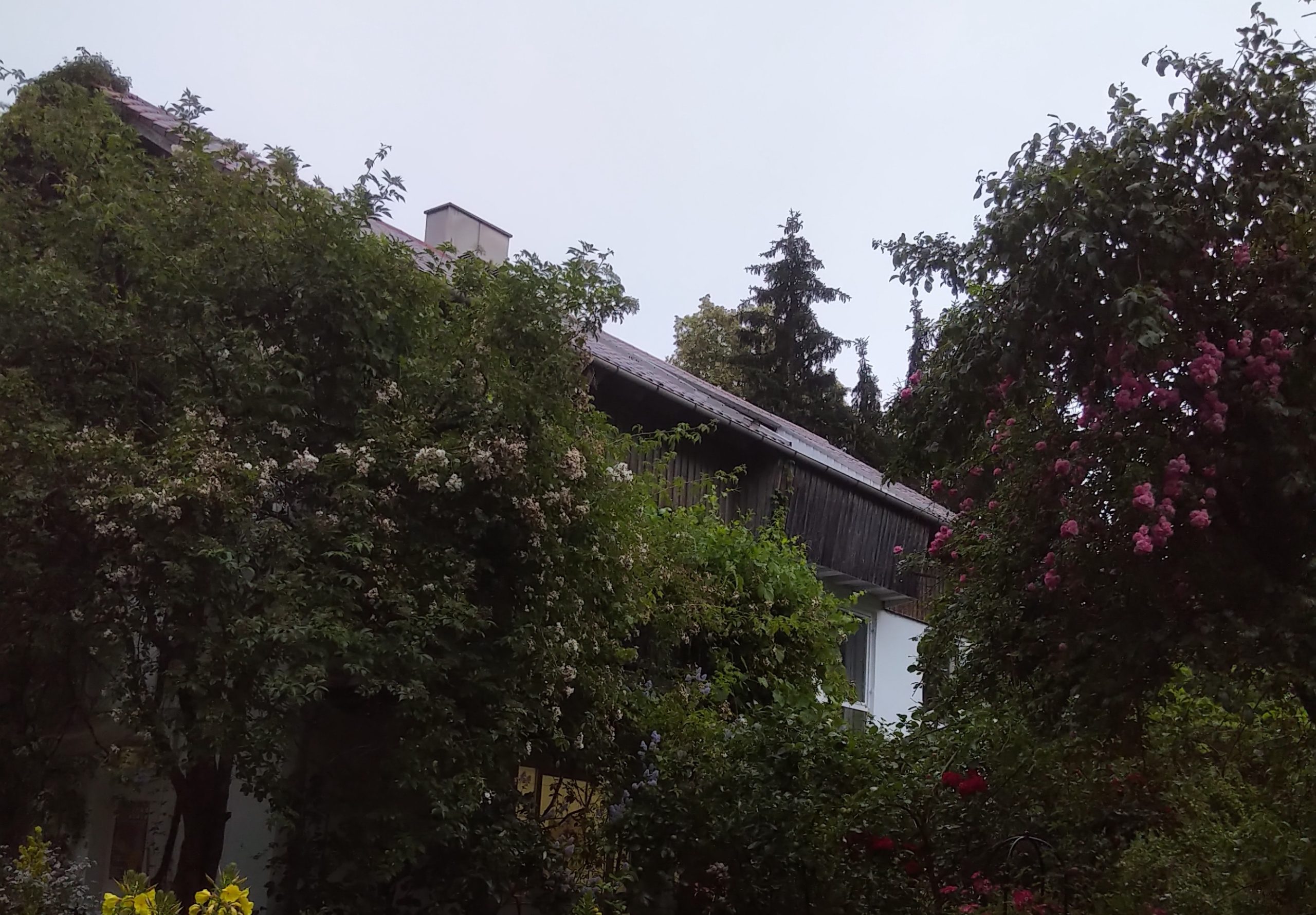 Vom Öltank zum Sonnenhaus